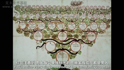 BBC 巴赫：激情的一生剧照的剧照