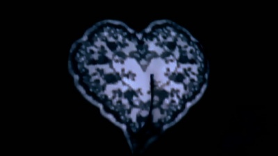 迪塔·冯·蒂斯疯马秀剧照的剧照