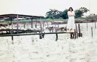 雪儿剧照的剧照