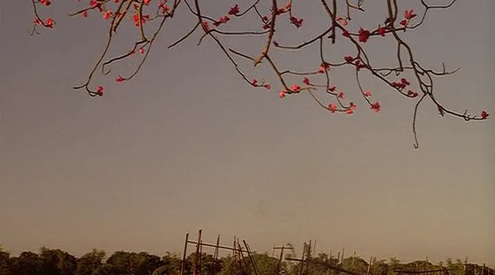 八两金剧照的剧照