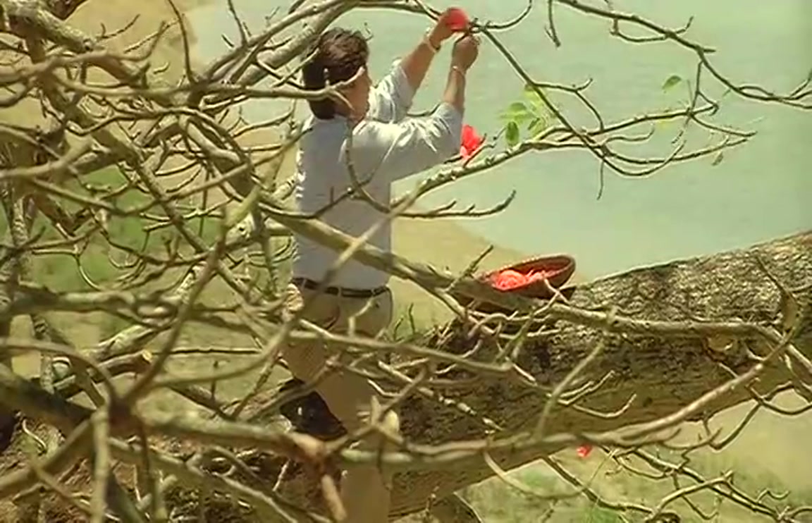 八两金剧照的剧照