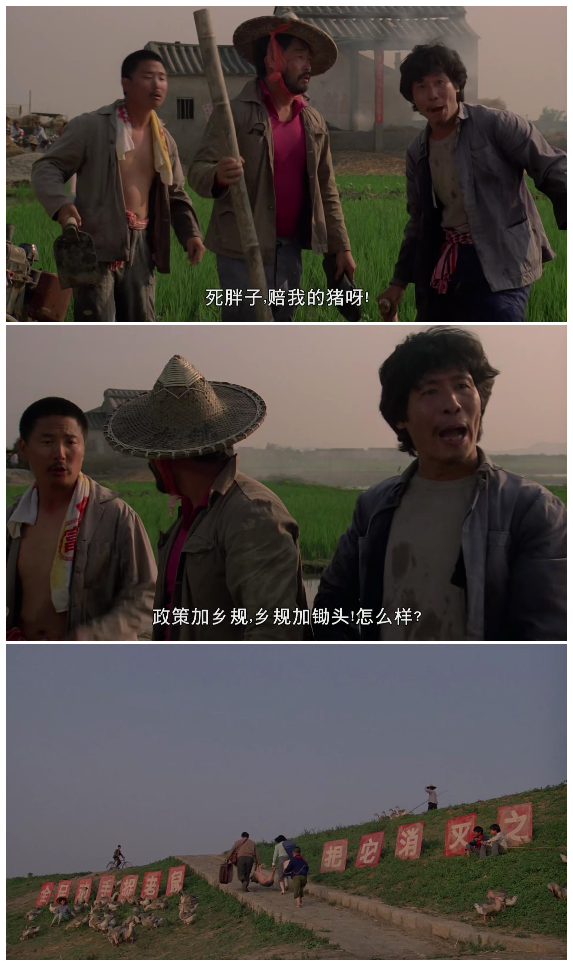 八两金剧照的剧照