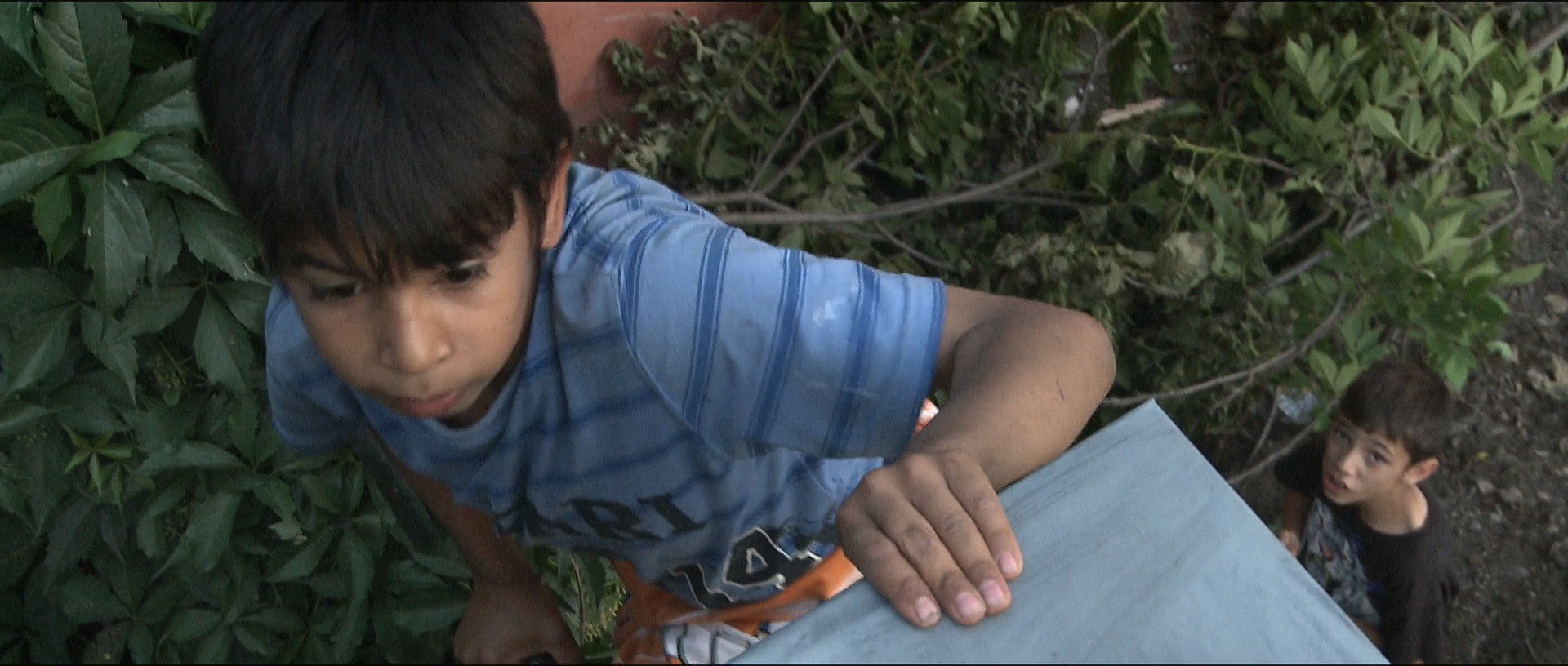 托托和他的姐姐们剧照的剧照