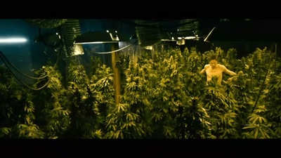 哈里·布朗剧照的剧照