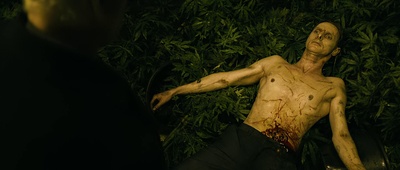 哈里·布朗剧照的剧照