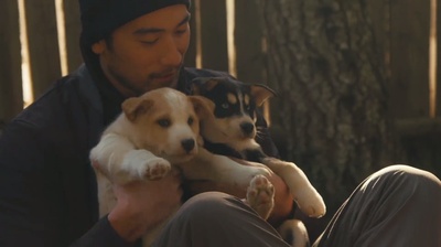 周游加拿大剧照的剧照