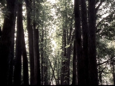 列夫·托尔斯泰剧照的剧照