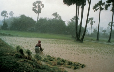 稻田里的人们剧照的剧照