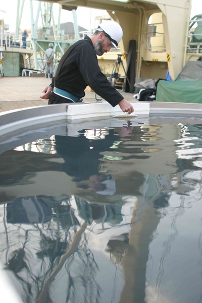 马修·巴尼：百无禁忌剧照的剧照