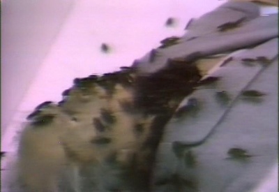 极度尖叫，第一部分：汤姆·萨维尼，恐怖效果大师剧照的剧照