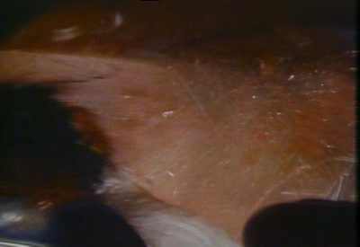 极度尖叫，第一部分：汤姆·萨维尼，恐怖效果大师剧照的剧照