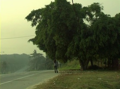 丹绒马林有棵树剧照的剧照