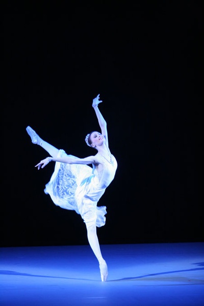 天鹅湖剧照的剧照