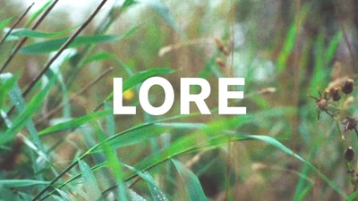 少女洛荷剧照的剧照