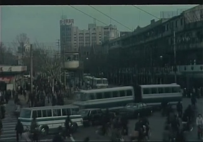 清水湾，淡水湾剧照的剧照