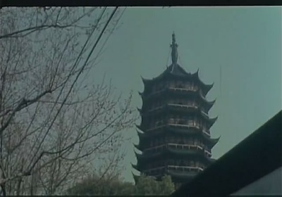 清水湾，淡水湾剧照的剧照