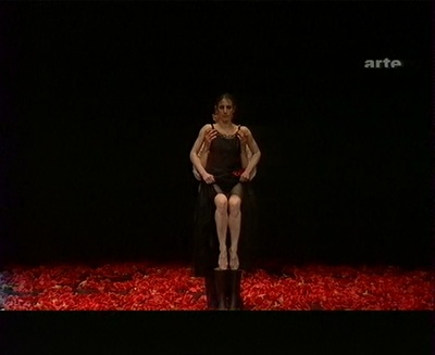 皮娜·鲍什：拭窗者剧照的剧照