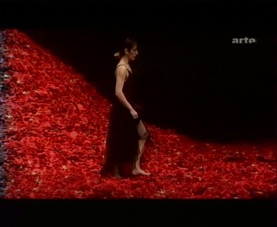 皮娜·鲍什：拭窗者剧照的剧照