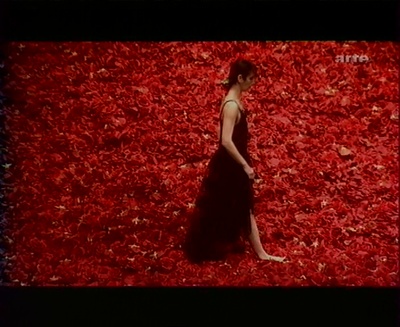 皮娜·鲍什：拭窗者剧照的剧照