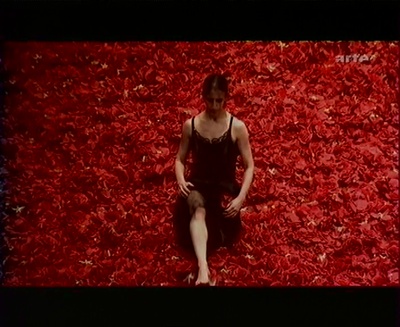 皮娜·鲍什：拭窗者剧照的剧照