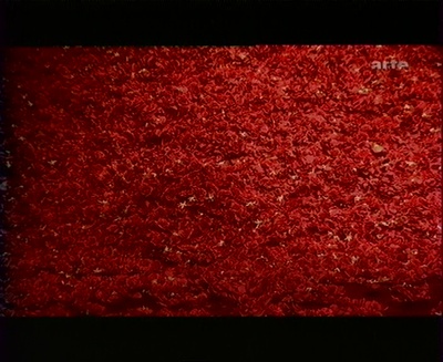 皮娜·鲍什：拭窗者剧照的剧照