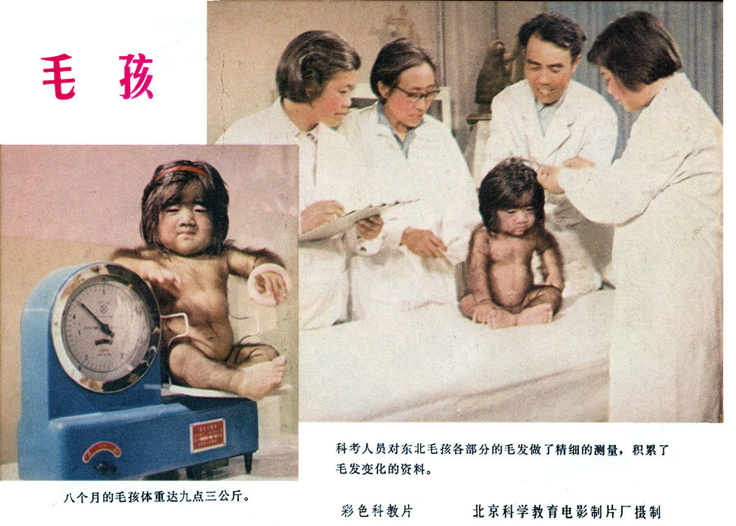 毛孩剧照的剧照