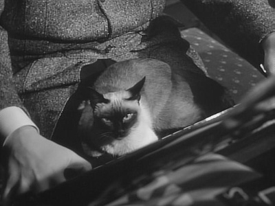 汉欧威广场剧照的剧照