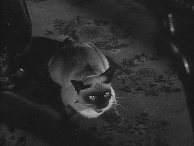 汉欧威广场剧照的剧照