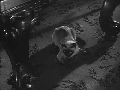 汉欧威广场剧照的剧照