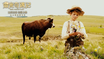 雷米奇遇记剧照的剧照