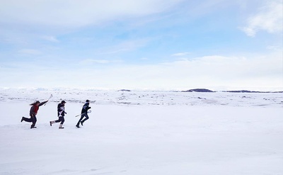 灰熊剧照的剧照