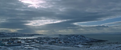 灰熊剧照的剧照