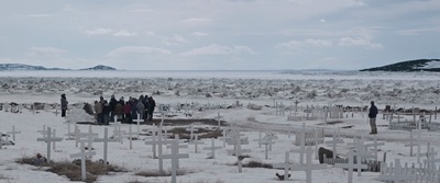 灰熊剧照的剧照