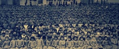 灰熊剧照的剧照