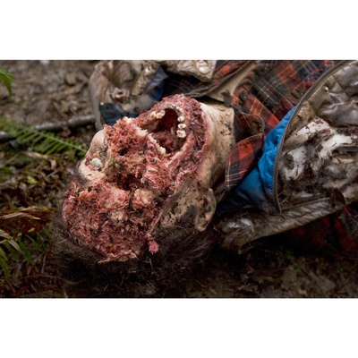 嗜血灰熊剧照的剧照