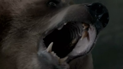 嗜血灰熊剧照的剧照