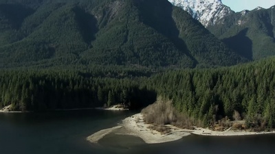 嗜血灰熊剧照的剧照