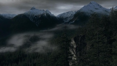 嗜血灰熊剧照的剧照