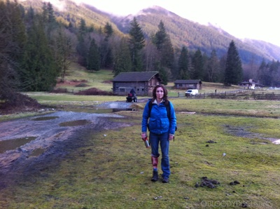 嗜血灰熊剧照的剧照