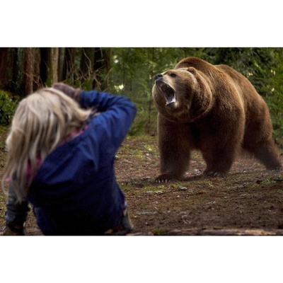 嗜血灰熊剧照的剧照