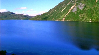 灰熊人剧照的剧照