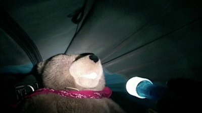 灰熊人剧照的剧照