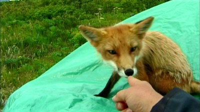 灰熊人剧照的剧照