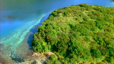 灰熊人剧照的剧照