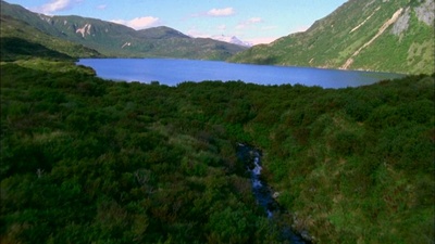 灰熊人剧照的剧照