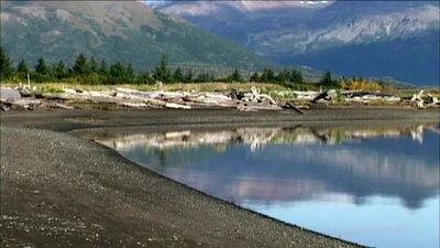 灰熊人剧照的剧照