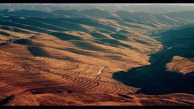 红花绿叶剧照的剧照