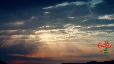 红花绿叶剧照的剧照