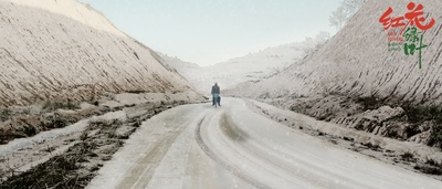 红花绿叶剧照的剧照