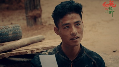 红花绿叶剧照的剧照